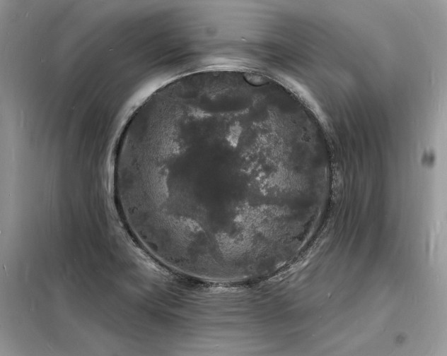 X0000098231419200804241330