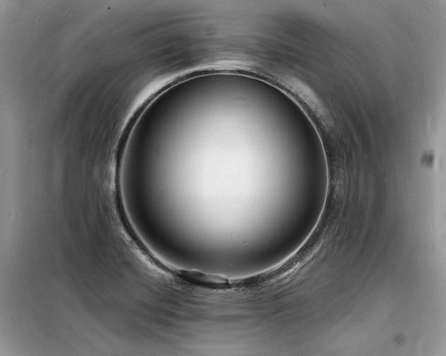 X0000098231420200804241330