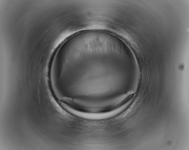 X0000098231422200804241330