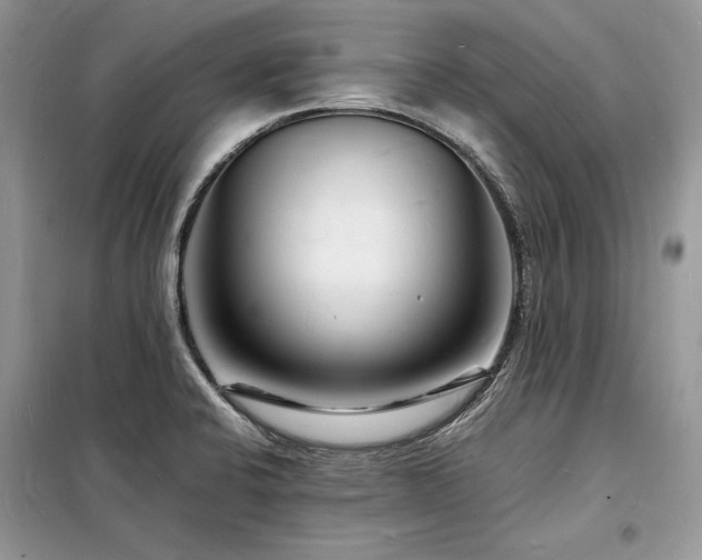X0000098231424200804241330