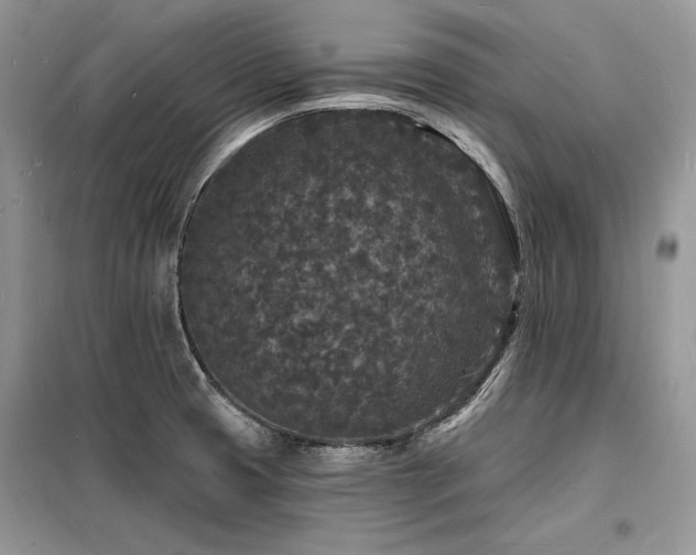 X0000098231425200804241330