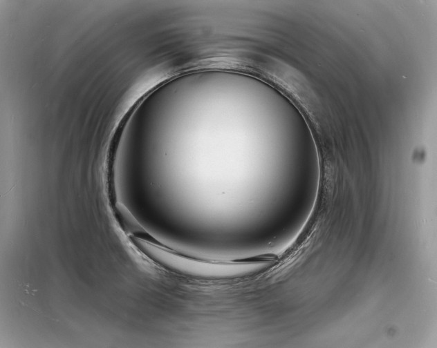 X0000098231426200804241330