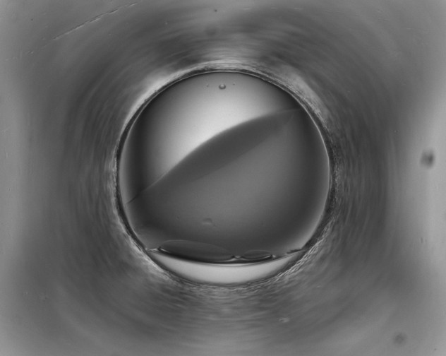 X0000098231428200804241330