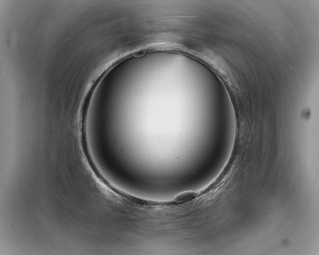 X0000098231430200804241330