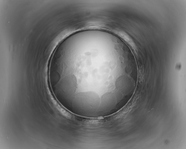 X0000098231431200804241330