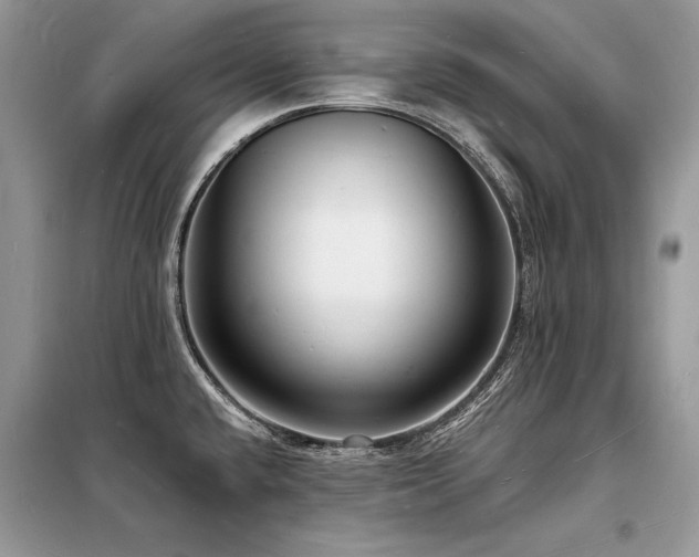 X0000098231432200804241330