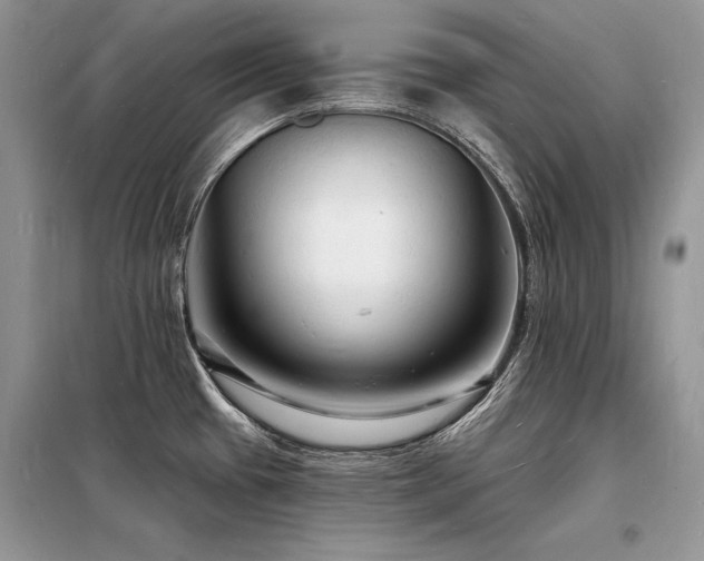 X0000098231433200804241330