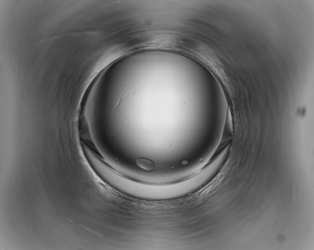 X0000098231434200804241330
