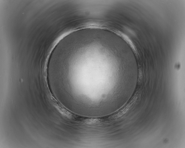 X0000098231435200804241330