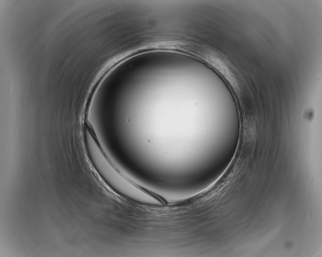 X0000098231436200804241330