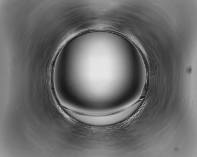X0000098231437200804241330