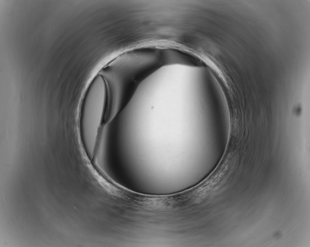 X0000098231438200804241330