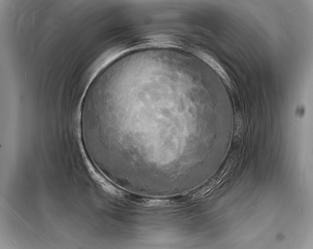 X0000098231439200804241330