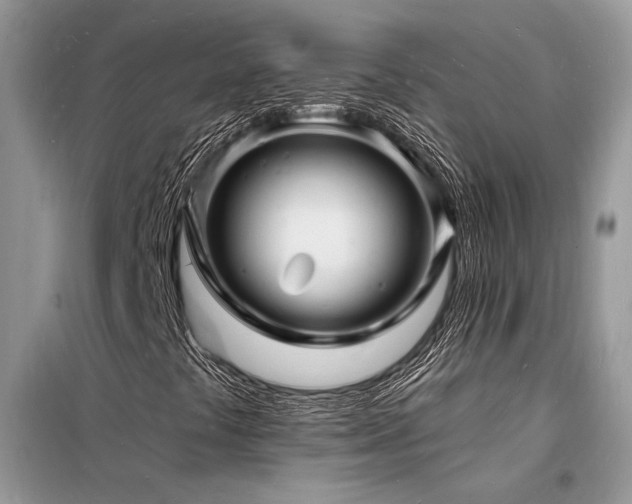 X0000098231441200804241330