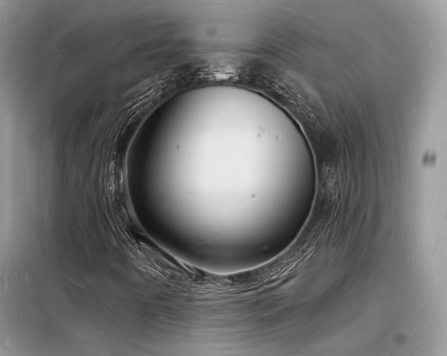 X0000098231442200804241330