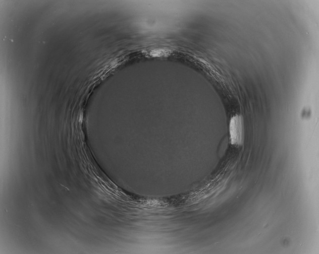 X0000098231443200804241330