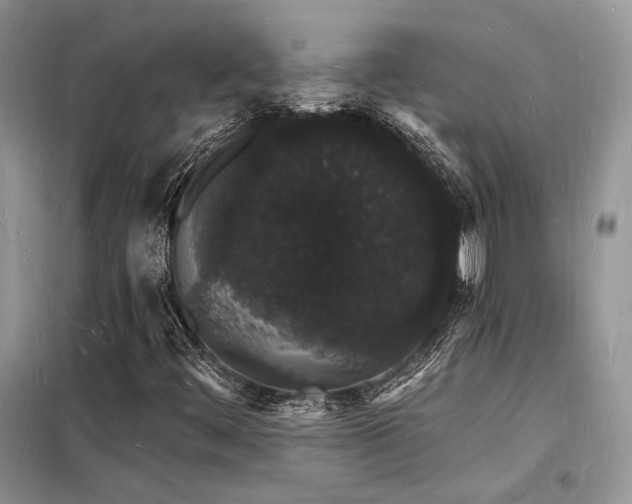 X0000098231444200804241330