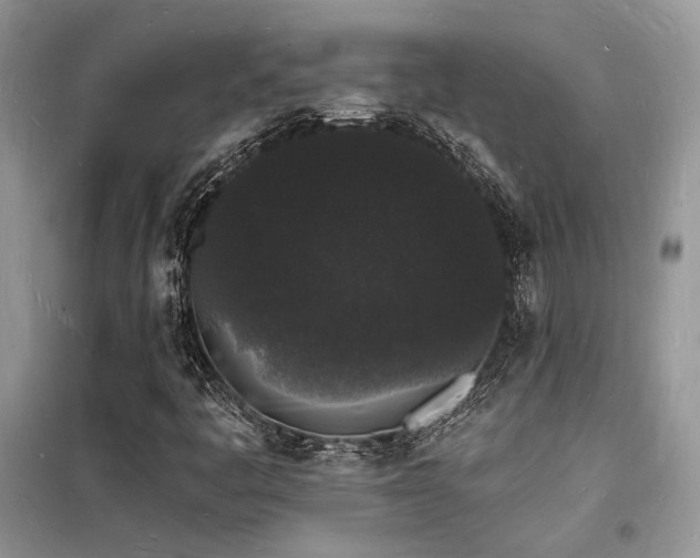 X0000098231445200804241330