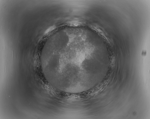 X0000098231446200804241330