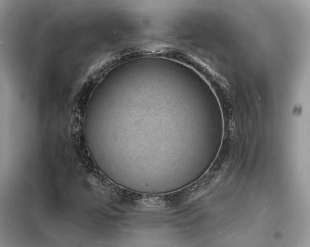 X0000098231447200804241330