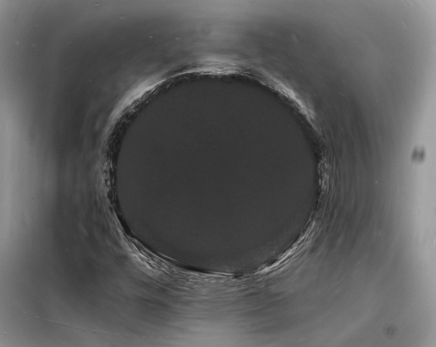 X0000098231448200804241330