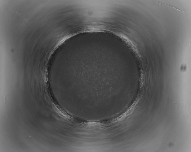 X0000098231449200804241330