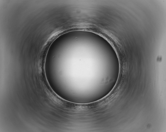 X0000098231451200804241330