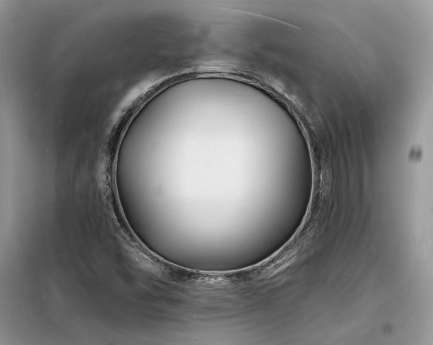 X0000098231454200804241330