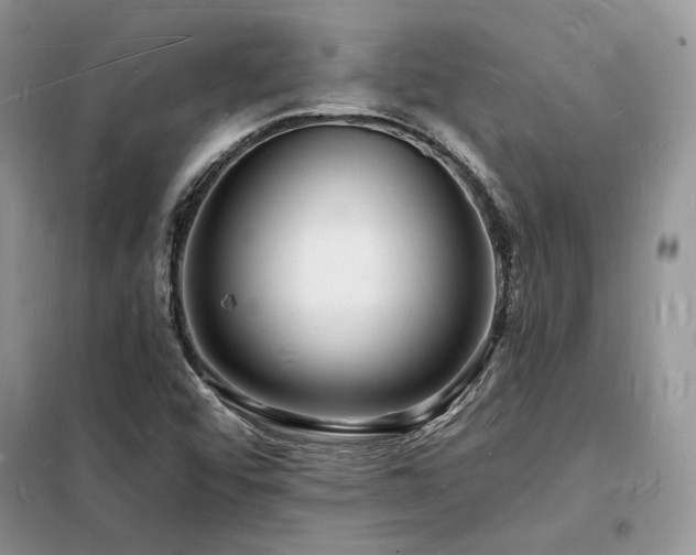 X0000098231456200804241330
