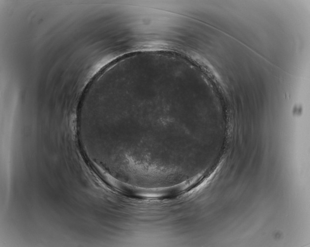 X0000098231457200804241329