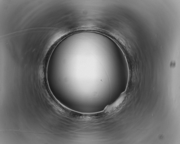 X0000098231458200804241329
