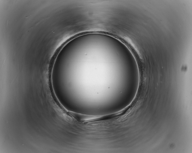 X0000098231460200804241329