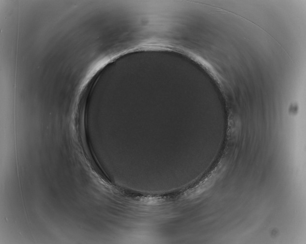 X0000098231461200804241329