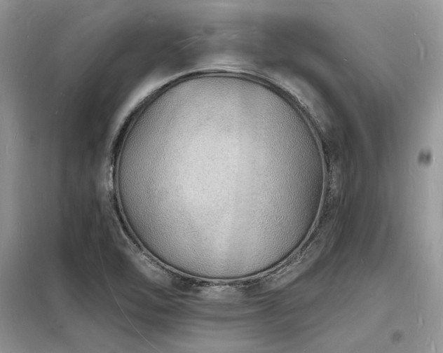 X0000098231462200804241329
