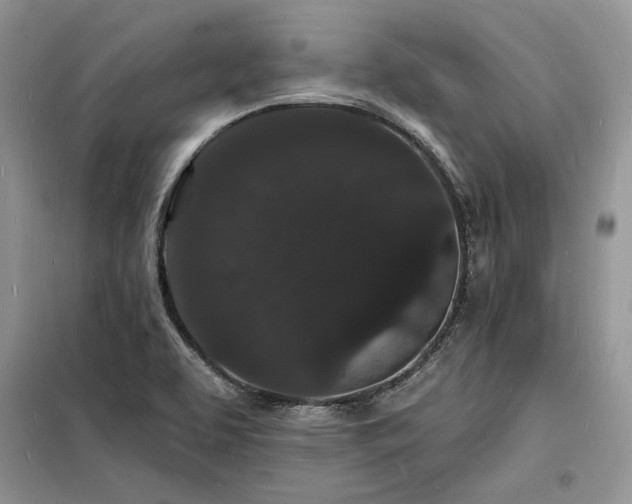 X0000098231463200804241329