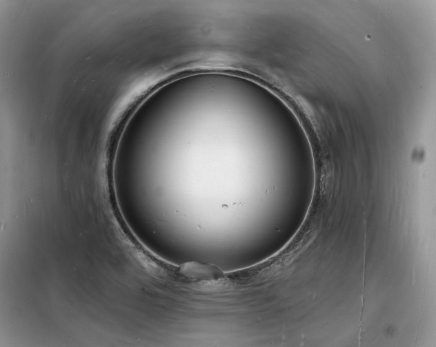 X0000098231464200804241329
