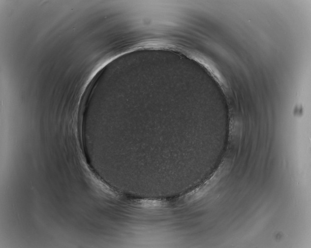 X0000098231465200804241329