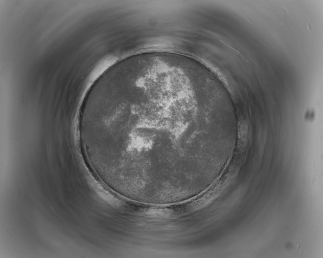 X0000098231466200804241329