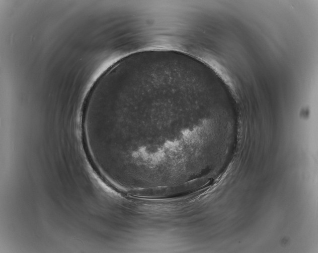 X0000098231468200804241329
