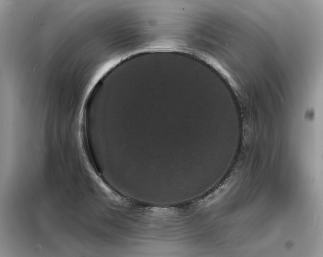 X0000098231469200804241329
