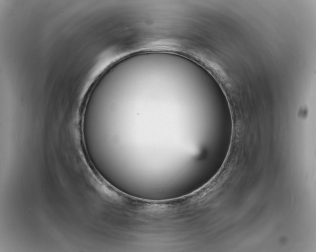 X0000098231470200804241329