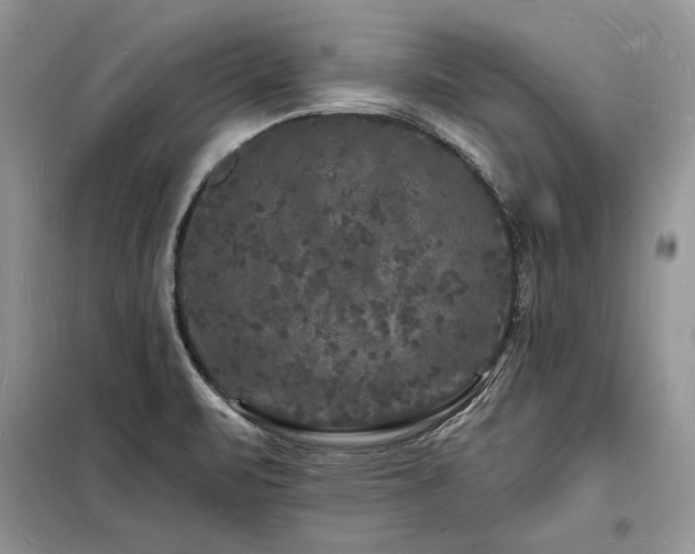 X0000098231471200804241329