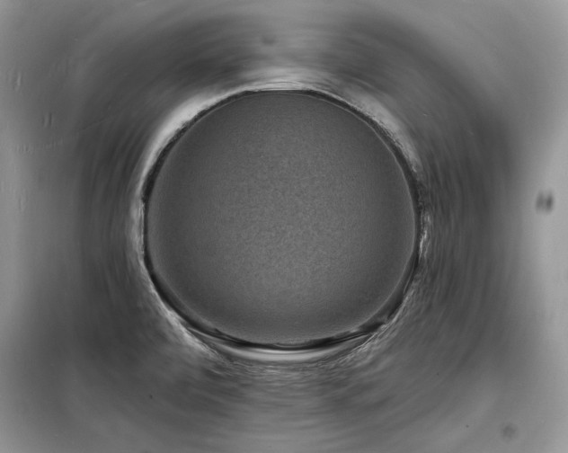 X0000098231472200804241329