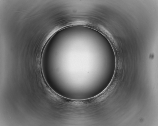 X0000098231473200804241329