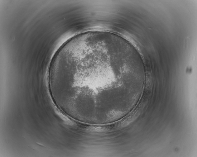 X0000098231474200804241329