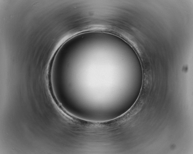 X0000098231475200804241329