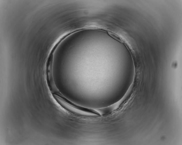 X0000098231476200804241329