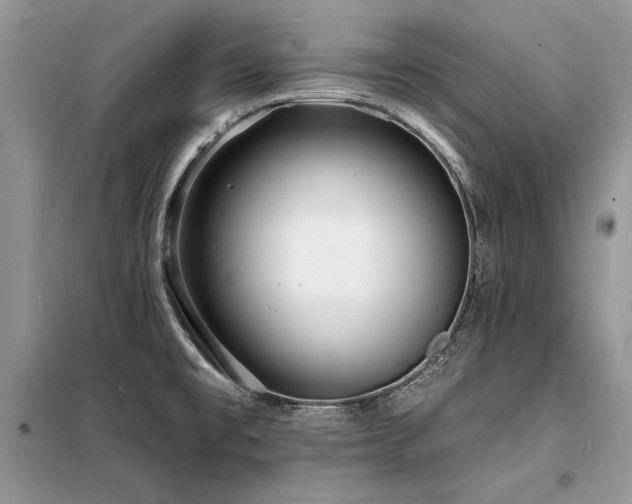 X0000098231477200804241329