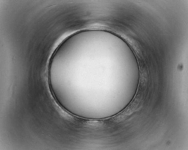 X0000098231478200804241329