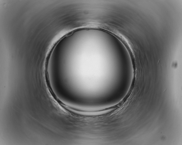 X0000098231480200804241329